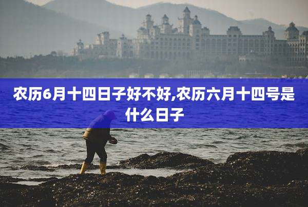 农历6月十四日子好不好,农历六月十四号是什么日子