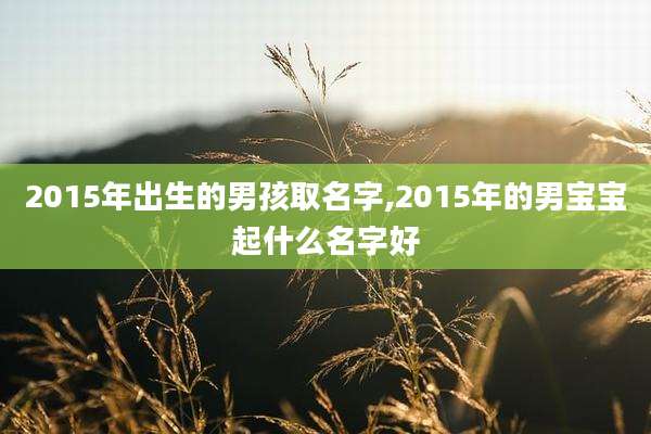 2015年出生的男孩取名字,2015年的男宝宝起什么名字好