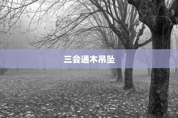 三会通木吊坠