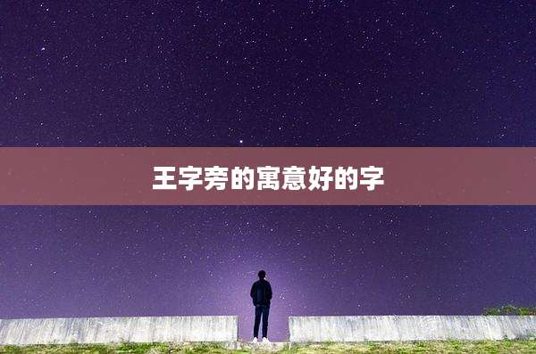 王字旁的寓意好的字