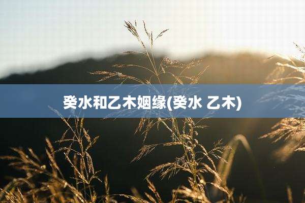 癸水和乙木姻缘(癸水 乙木)