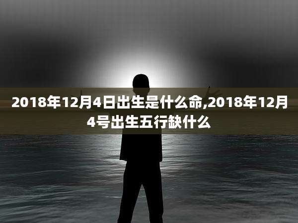 2018年12月4日出生是什么命,2018年12月4号出生五行缺什么