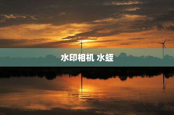 水印相机 水蛭
