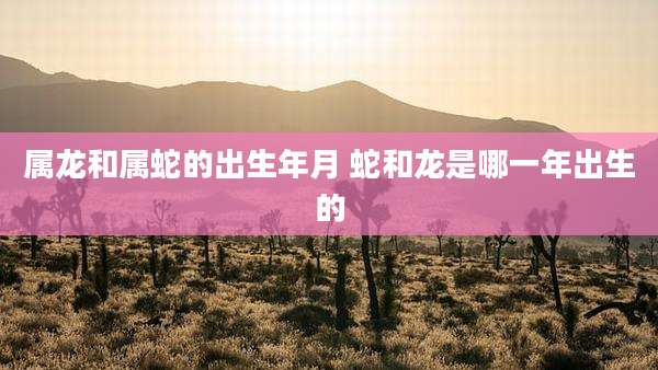 属龙和属蛇的出生年月 蛇和龙是哪一年出生的