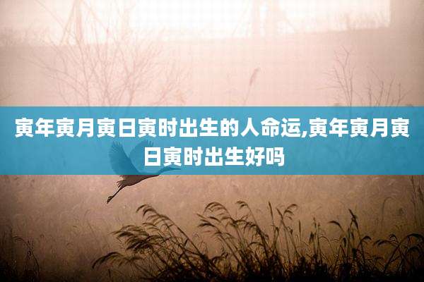 寅年寅月寅日寅时出生的人命运,寅年寅月寅日寅时出生好吗