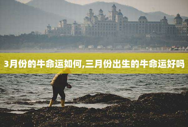 3月份的牛命运如何,三月份出生的牛命运好吗