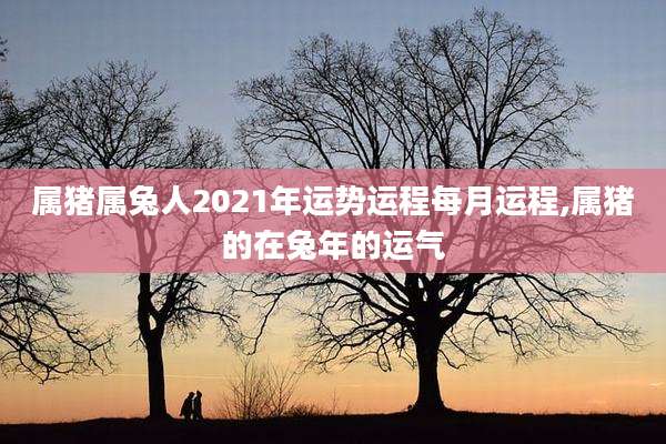 属猪属兔人2021年运势运程每月运程,属猪的在兔年的运气