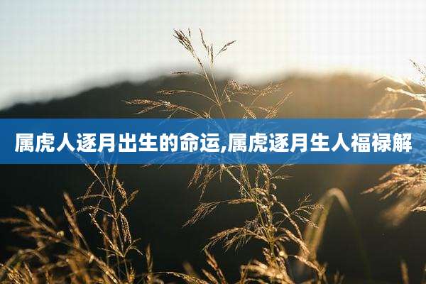 属虎人逐月出生的命运,属虎逐月生人福禄解