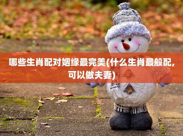 哪些生肖配对姻缘最完美(什么生肖最般配,可以做夫妻)