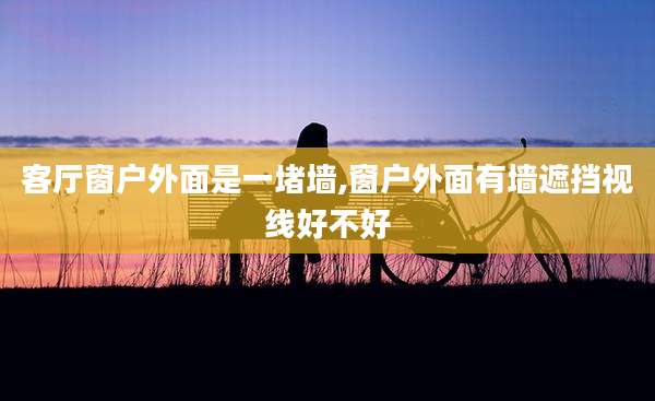 客厅窗户外面是一堵墙,窗户外面有墙遮挡视线好不好