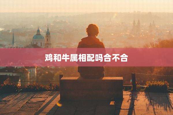 鸡和牛属相配吗合不合