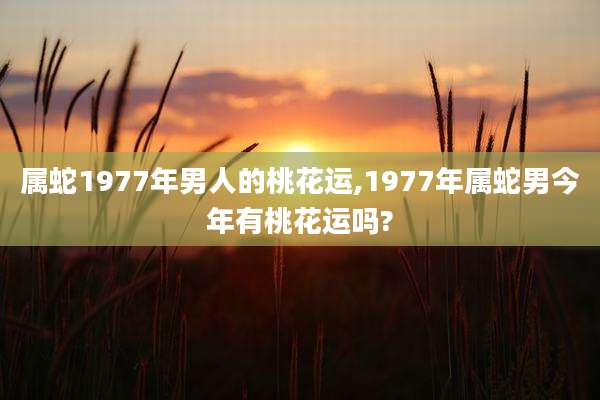 属蛇1977年男人的桃花运,1977年属蛇男今年有桃花运吗?