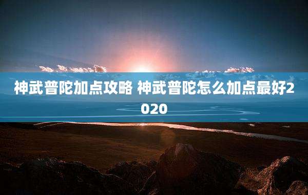 神武普陀加点攻略 神武普陀怎么加点最好2020