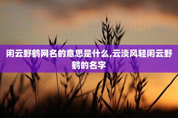 闲云野鹤网名的意思是什么,云淡风轻闲云野鹤的名字