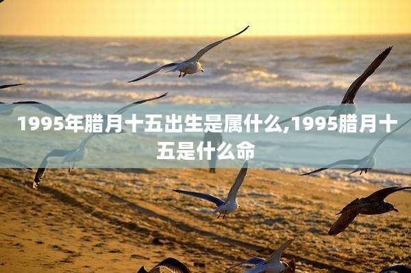 1995年腊月十五出生是属什么,1995腊月十五是什么命