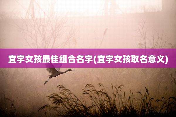 宜字女孩最佳组合名字(宜字女孩取名意义)