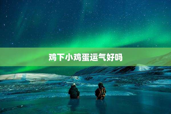 鸡下小鸡蛋运气好吗