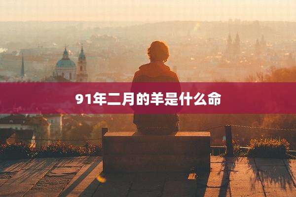 91年二月的羊是什么命