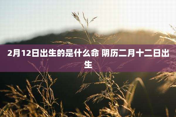 2月12日出生的是什么命 阴历二月十二日出生
