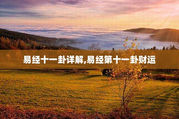 易经十一卦详解,易经第十一卦财运