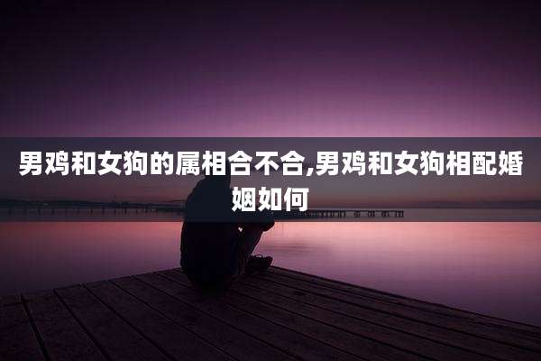 男鸡和女狗的属相合不合,男鸡和女狗相配婚姻如何