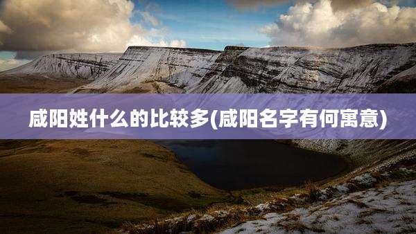 咸阳姓什么的比较多(咸阳名字有何寓意)