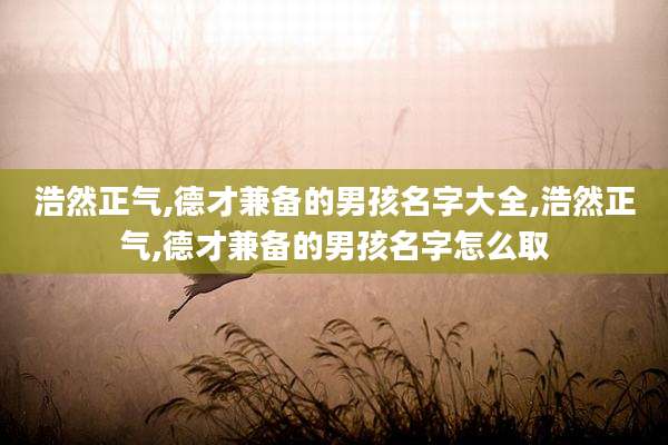 浩然正气,德才兼备的男孩名字大全,浩然正气,德才兼备的男孩名字怎么取