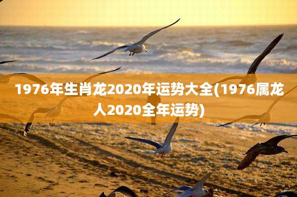 1976年生肖龙2020年运势大全(1976属龙人2020全年运势)