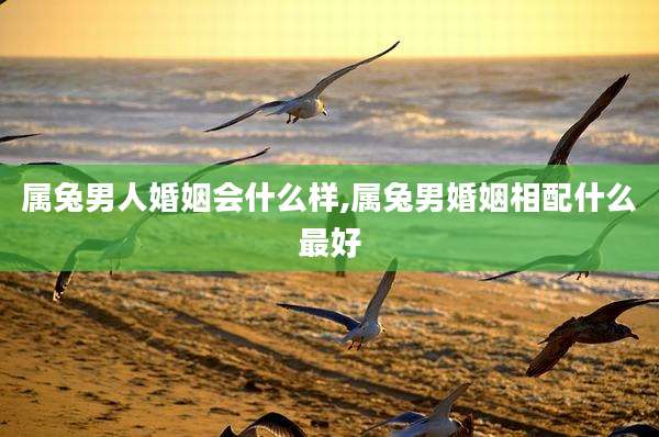 属兔男人婚姻会什么样,属兔男婚姻相配什么最好
