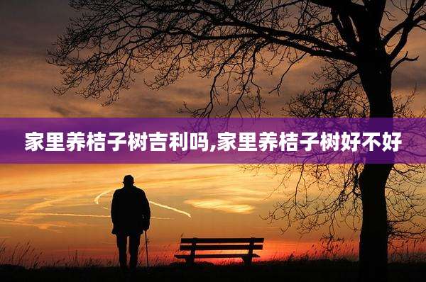 家里养桔子树吉利吗,家里养桔子树好不好