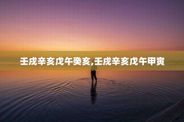 壬戌辛亥戊午癸亥,壬戌辛亥戊午甲寅