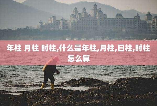 年柱 月柱 时柱,什么是年柱,月柱,日柱,时柱怎么算