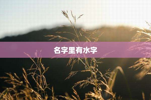 名字里有水字