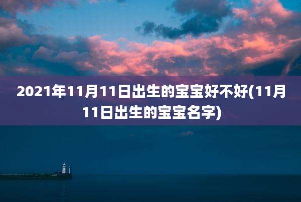 2021年11月11日出生的宝宝好不好(11月11日出生的宝宝名字)