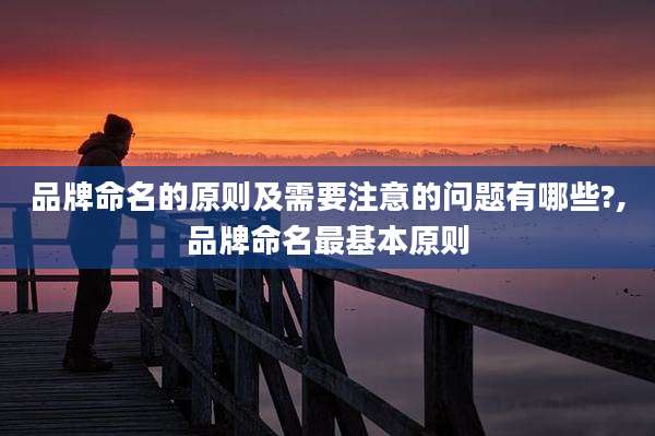 品牌命名的原则及需要注意的问题有哪些?,品牌命名最基本原则