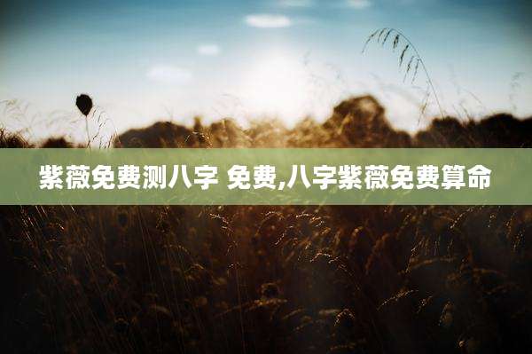 紫薇免费测八字 免费,八字紫薇免费算命