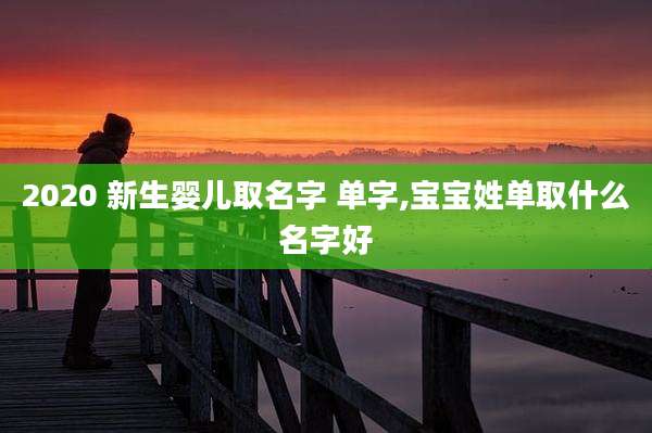 2020 新生婴儿取名字 单字,宝宝姓单取什么名字好
