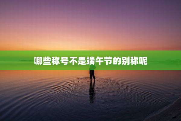 哪些称号不是端午节的别称呢
