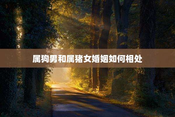 属狗男和属猪女婚姻如何相处