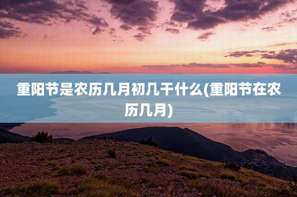 重阳节是农历几月初几干什么(重阳节在农历几月)