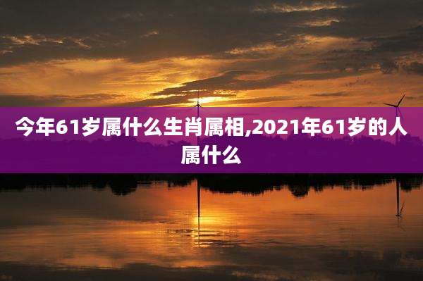 今年61岁属什么生肖属相,2021年61岁的人属什么