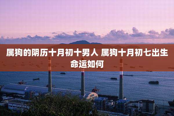 属狗的阴历十月初十男人 属狗十月初七出生命运如何
