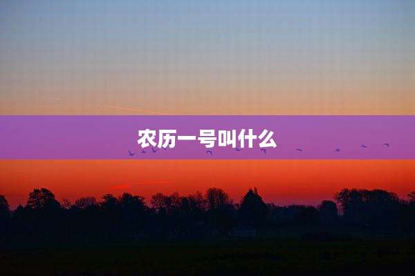 农历一号叫什么
