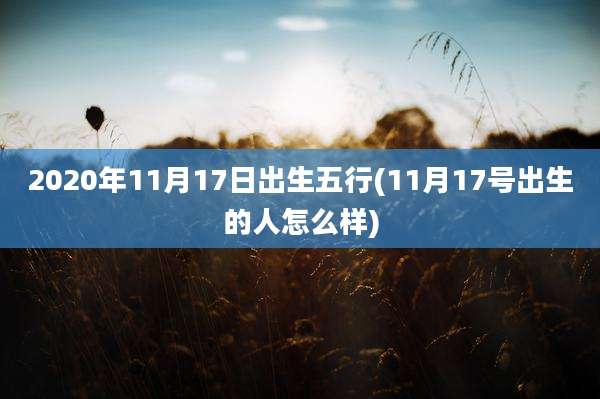 2020年11月17日出生五行(11月17号出生的人怎么样)
