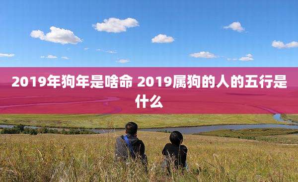 2019年狗年是啥命 2019属狗的人的五行是什么