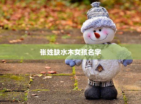 张姓缺水木女孩名字