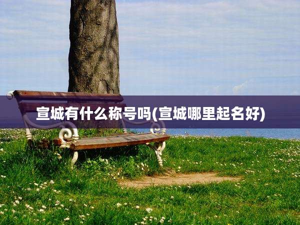 宣城有什么称号吗(宣城哪里起名好)