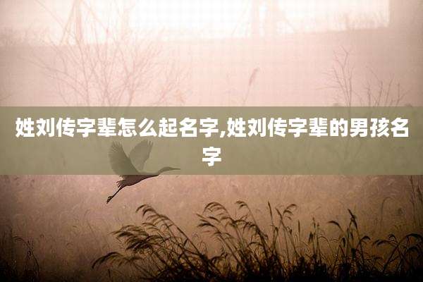 姓刘传字辈怎么起名字,姓刘传字辈的男孩名字