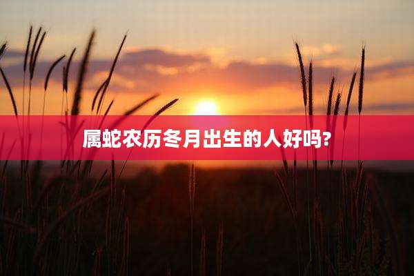属蛇农历冬月出生的人好吗?
