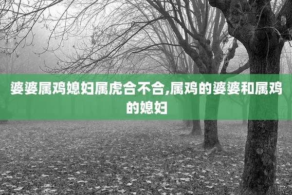 婆婆属鸡媳妇属虎合不合,属鸡的婆婆和属鸡的媳妇